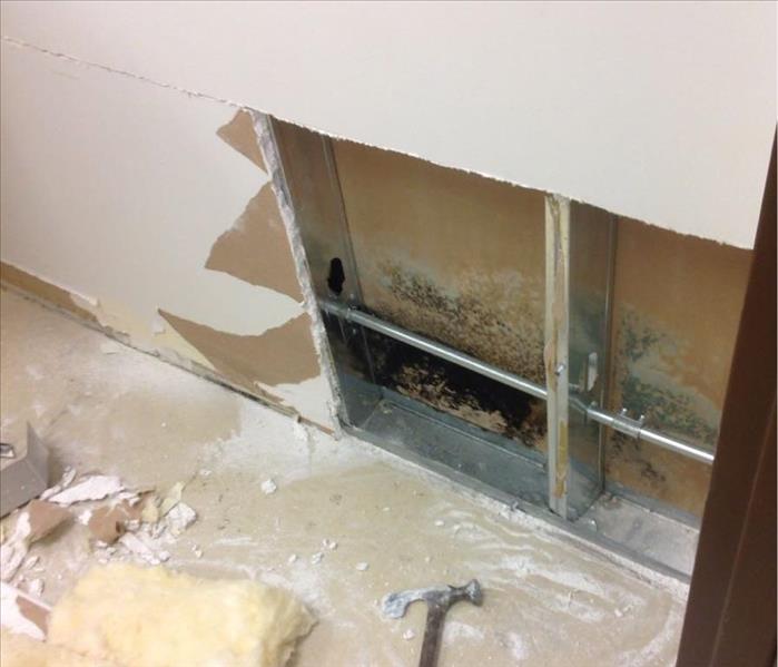 Mold growth in a wall on a commercial property.